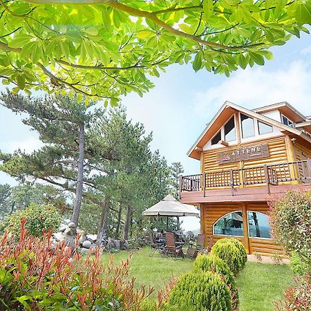 Attene Pension Jeju by Eksteriør bilde
