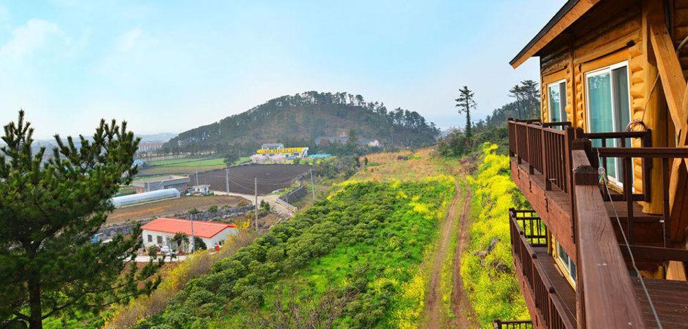 Attene Pension Jeju by Eksteriør bilde
