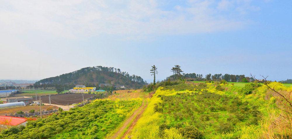 Attene Pension Jeju by Eksteriør bilde